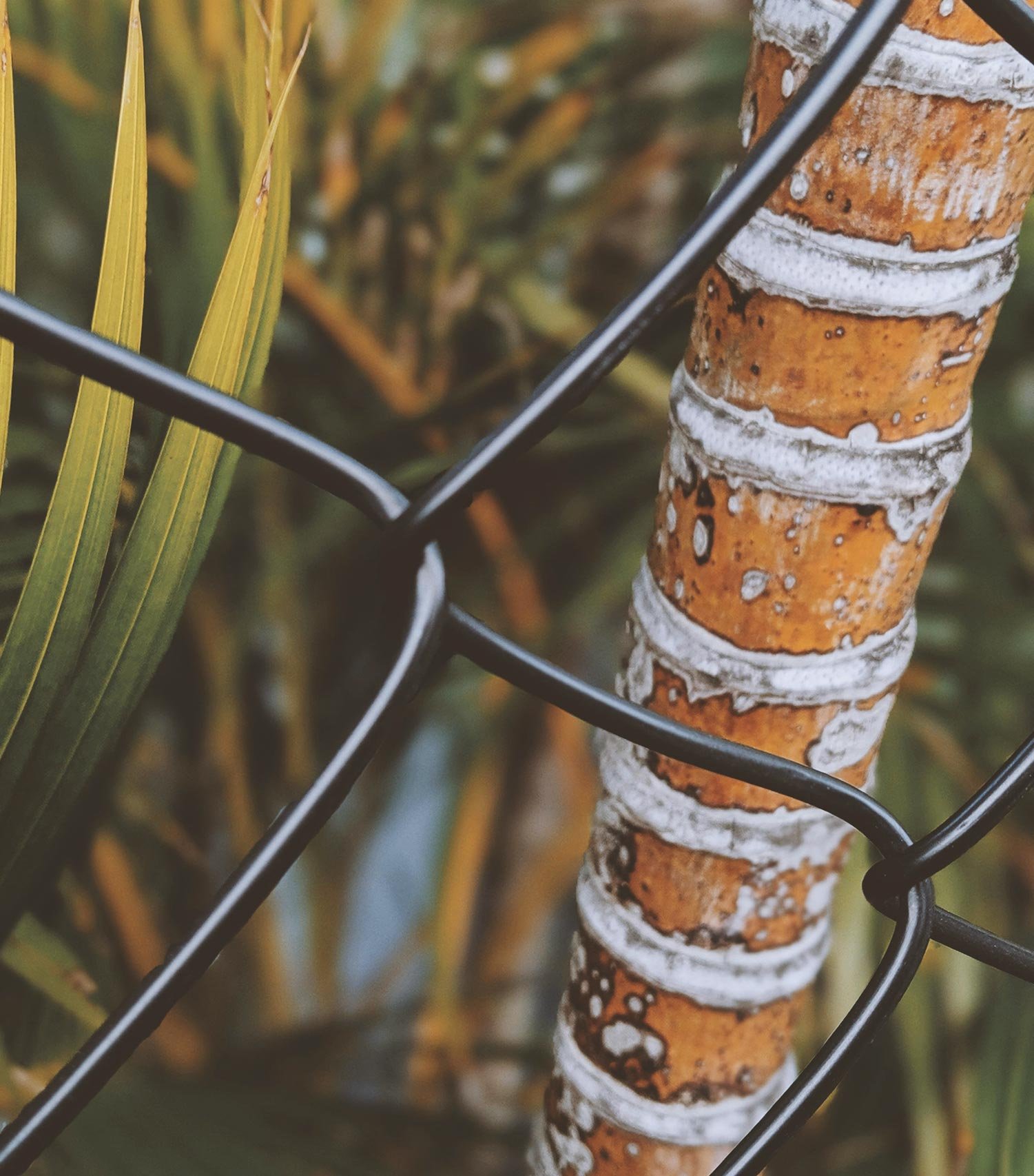 services-accueil-cloture