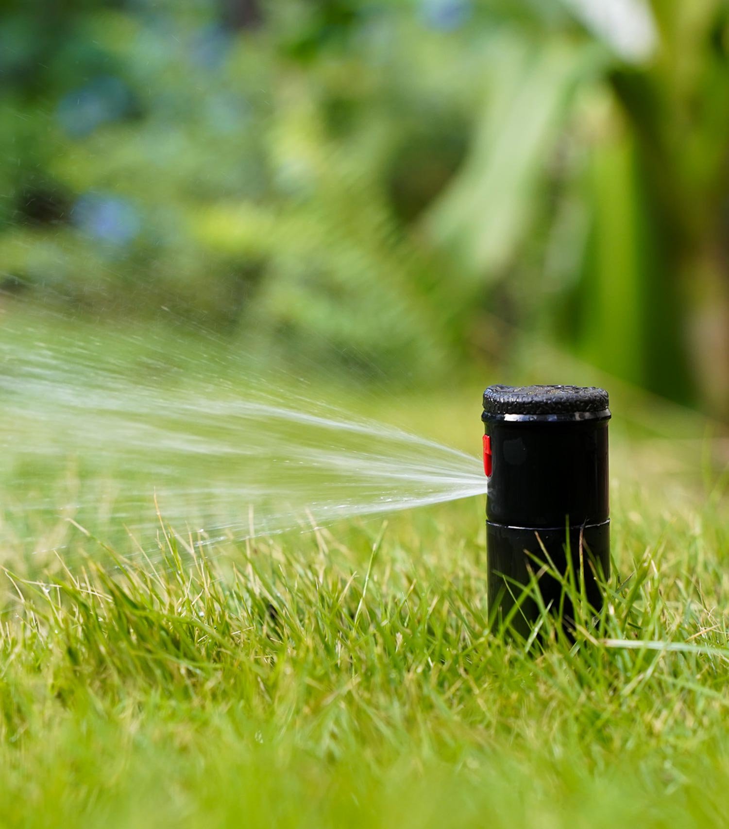 lileovert-paysagiste-974-services-arrosage