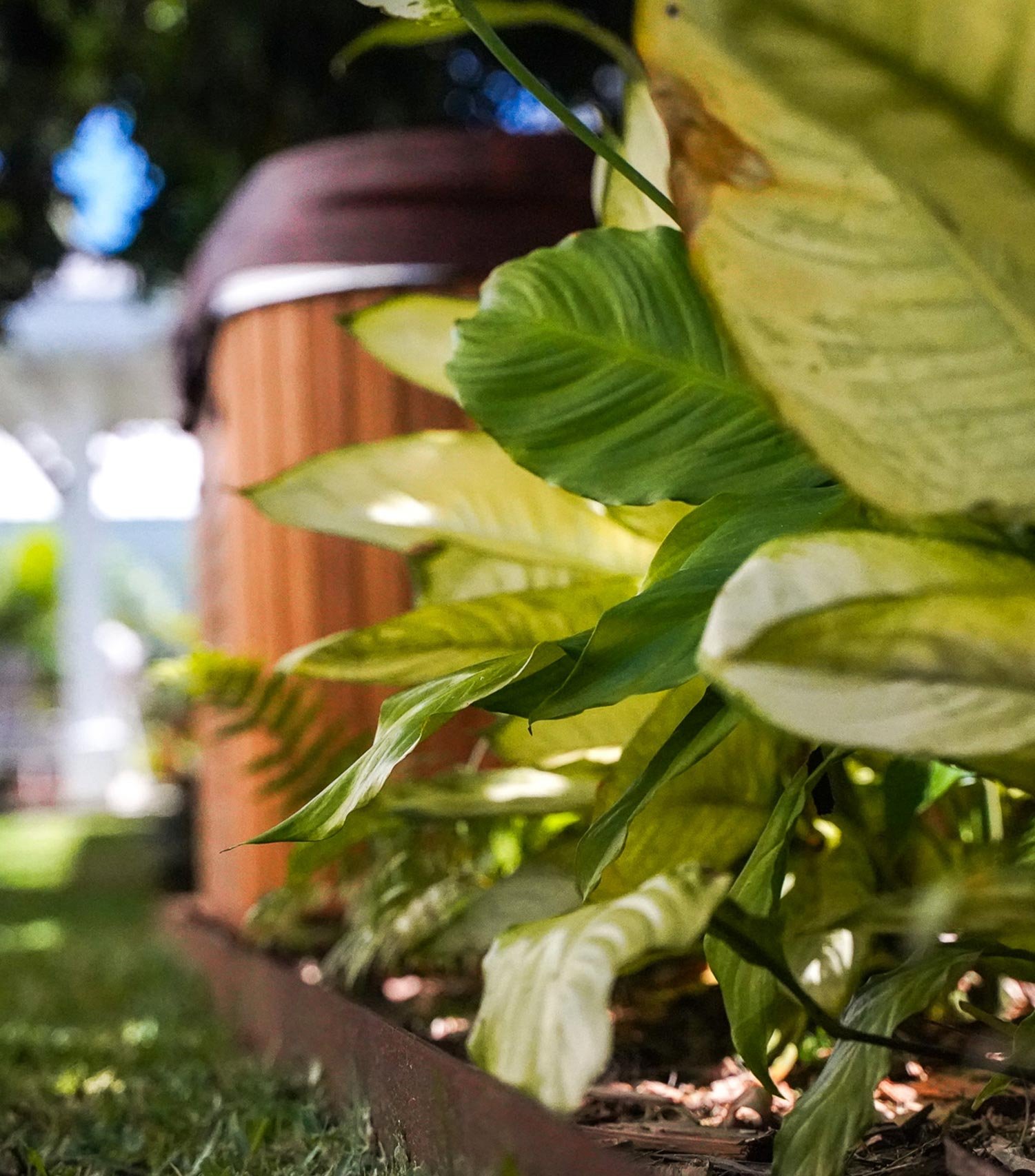 lileovert-paysagiste-974-services-creation-espaces-vert