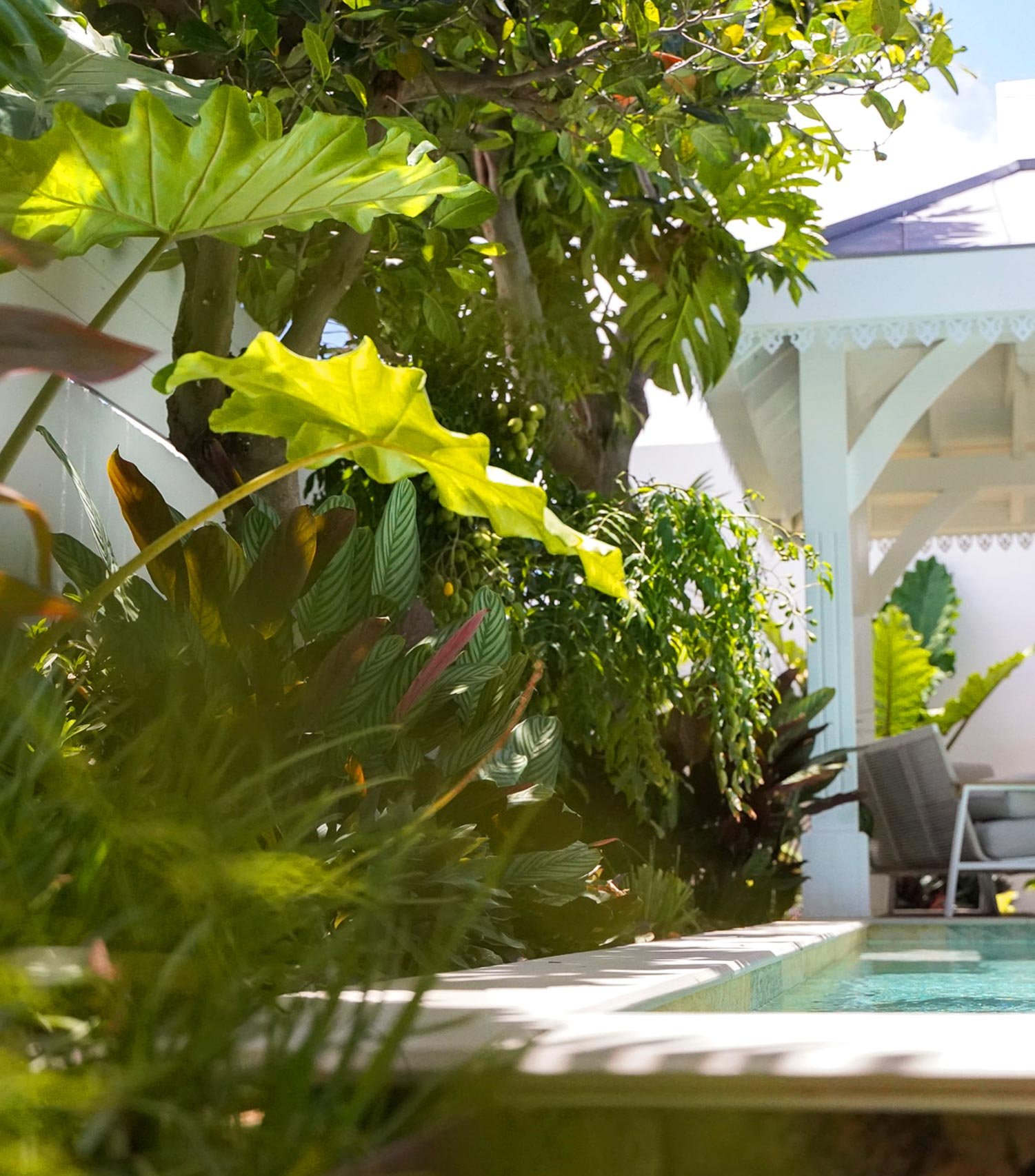 lileovert-paysagiste-974-services-plantation-vegetaux